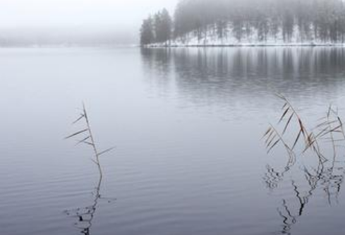 1755747533283223.png image.png