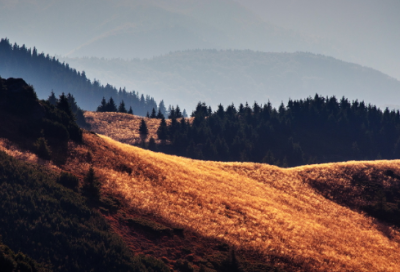 ​继往开来造句 继往开来造句英文(精选14句)