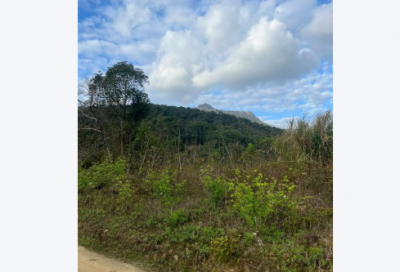 ​要是什么我们就什么造句 要是什么我们就什么造句一年级简单