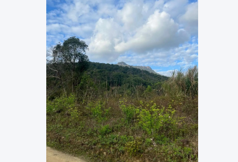 1755750868645322.png image.png