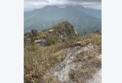 ​只要不管都造句(精选12句)