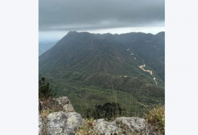 ​别人造句一年级简单的 清水造句一年级简单