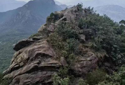 ​审视造句二年级 审视怎么造句二年级下册最短