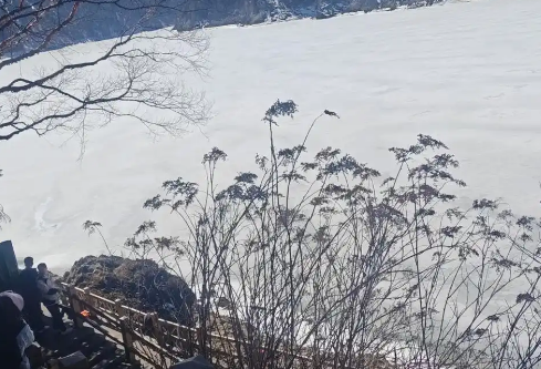 1755751702460362.png image.png