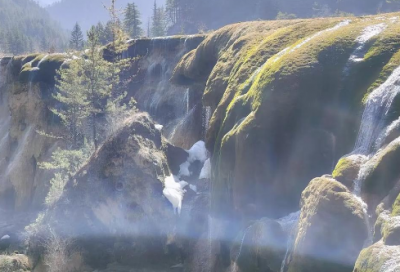 ​保护造句一年级 保护造句一年级下册(精选15句)