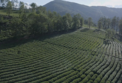 ​二年级留恋造句大全 用留恋造句(精选11句)