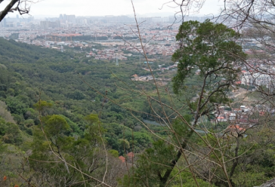 ​劝说造句 劝说造句一年级简单(精选11句)