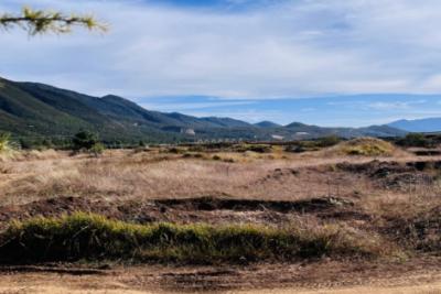 ​吧造句大全一年级 一年级因为所以造句大全