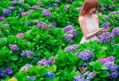 ​安全英文谚语