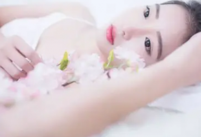 ​常见的拟人句41句