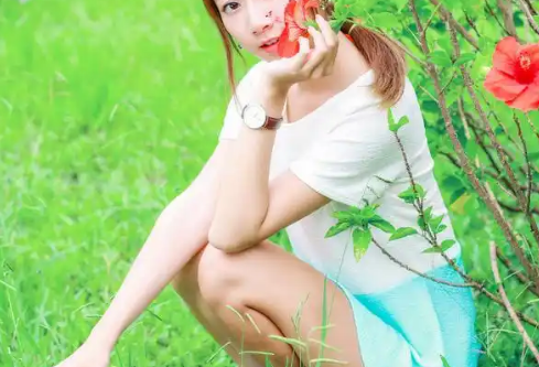 1767203621341505.png image.png