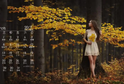 ​带马的四字成语86句