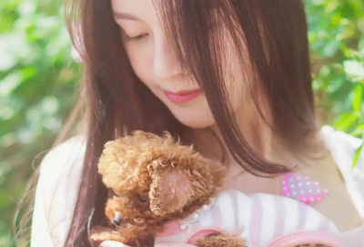 ​马的成语80句